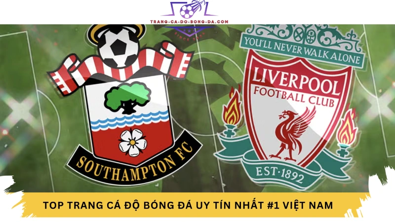 Nhận định bóng đá Southampton vs Liverpool 24-11-2024